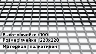 Георешетка 100 Ячейка: 220х220 полиэтилен